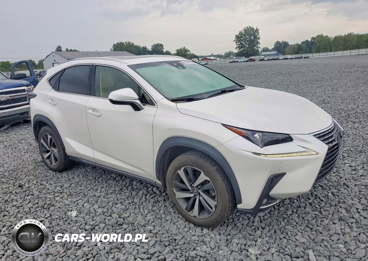 2019 Lexus Nx 300 Base VIN:JTJBARBZ4K2193683 - 4