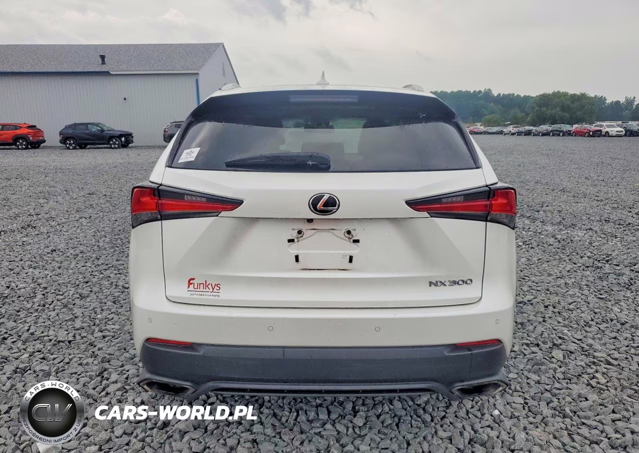 2019 Lexus Nx 300 Base VIN:JTJBARBZ4K2193683 - 6
