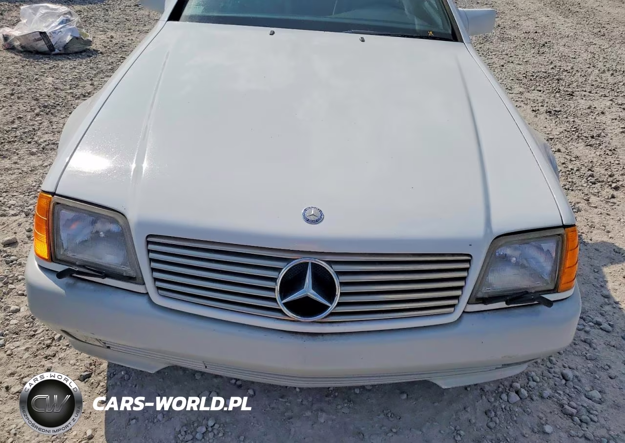 1991 Mercedes-Benz 300 Sl VIN:WDBFA61E1MF015337 - 11