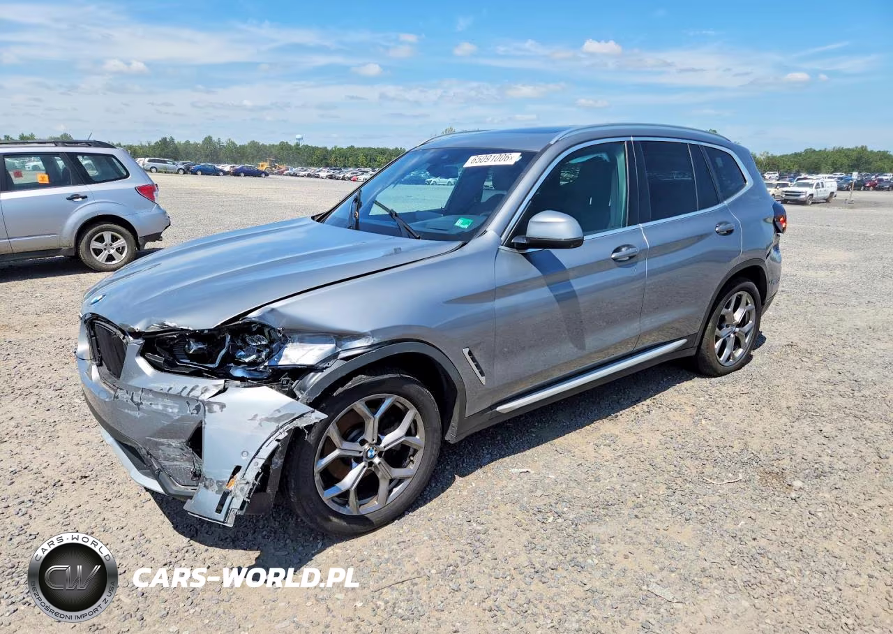 2023 BMW X3 xDrive30I VIN:5UX53DP02P9S69132 - 1