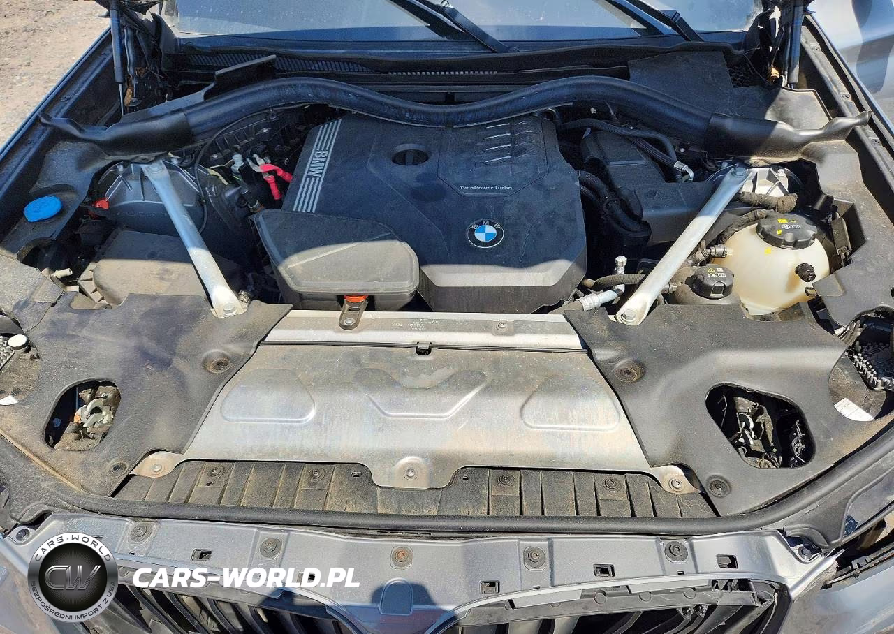 2023 BMW X3 xDrive30I VIN:5UX53DP02P9S69132 - 12