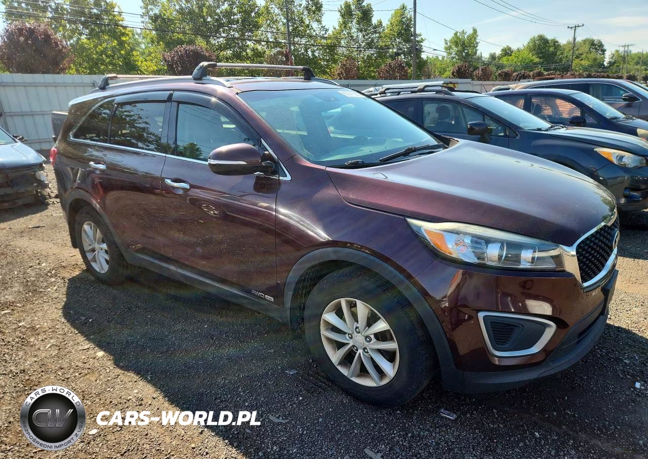 2017 Kia Sorento Lx V6 VIN:5XYPGDA51HG202816 - 4