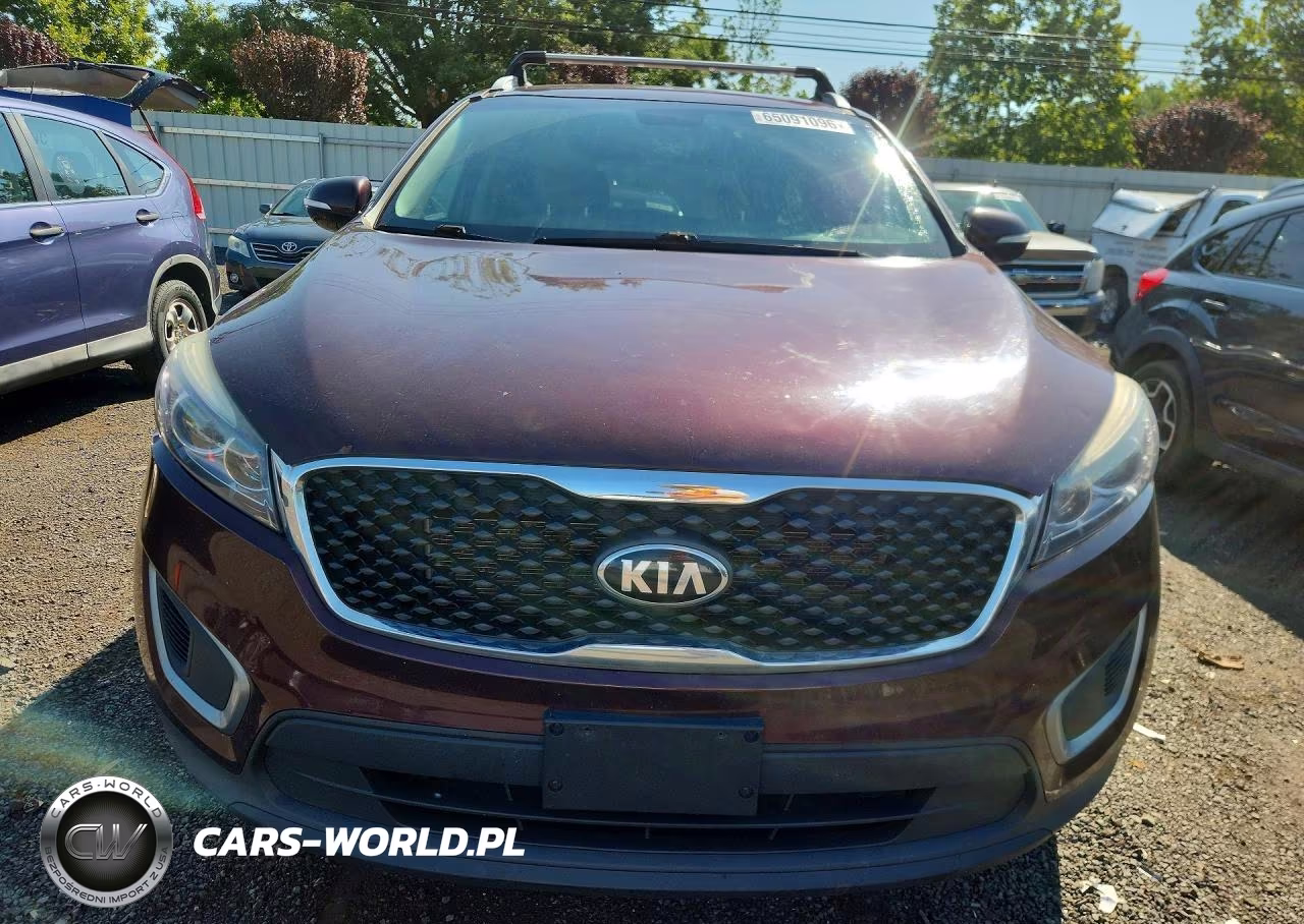 2017 Kia Sorento Lx V6 VIN:5XYPGDA51HG202816 - 5