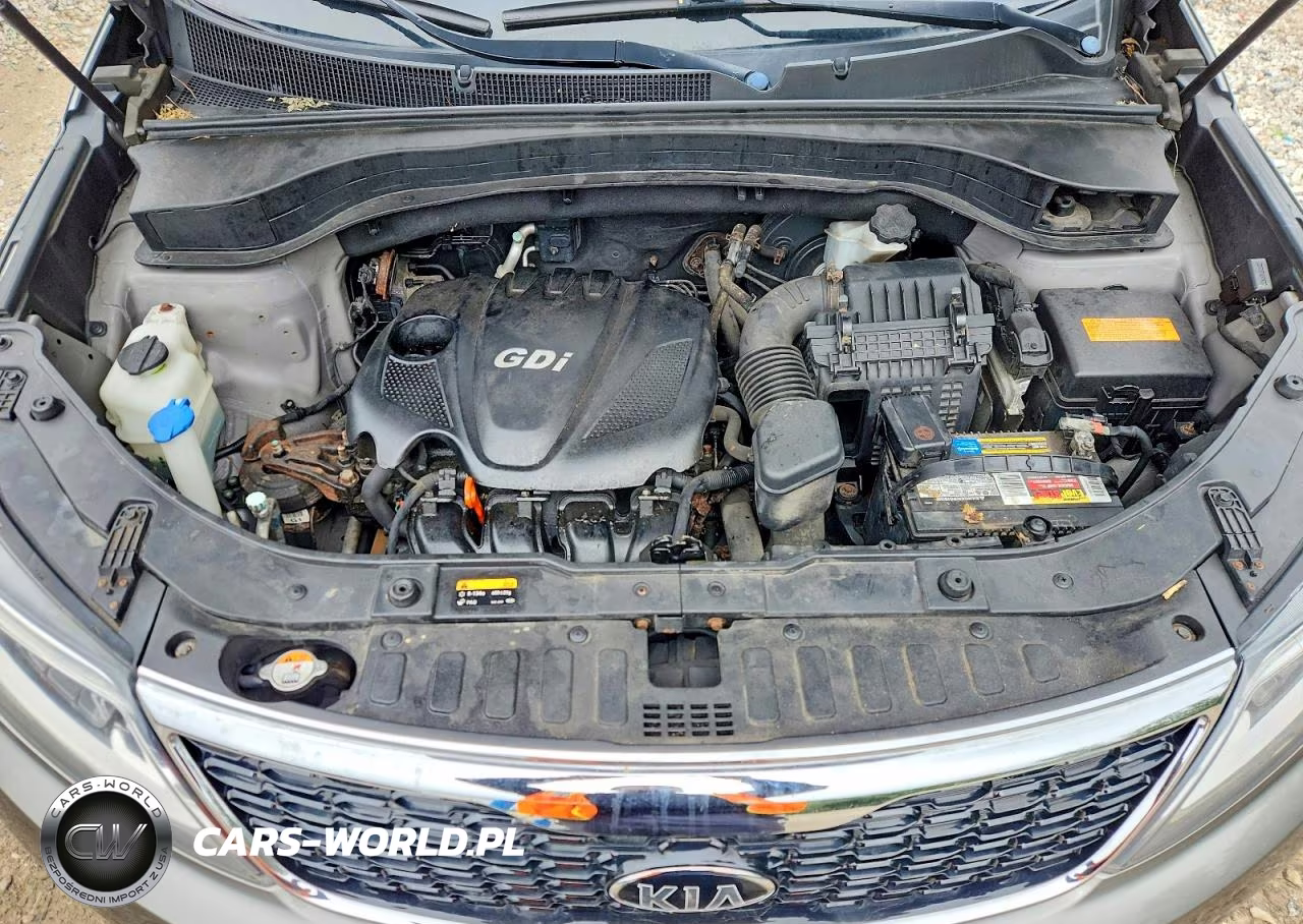 2014 Kia Sorento Lx VIN:5XYKTCA62EG464817 - 12