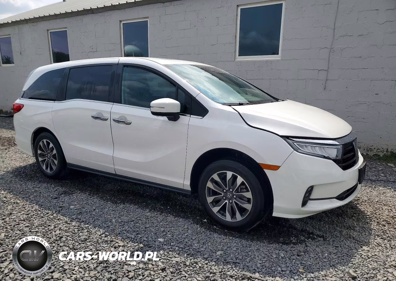 2023 Honda Odyssey Exl VIN:5FNRL6H66PB073475 - 4
