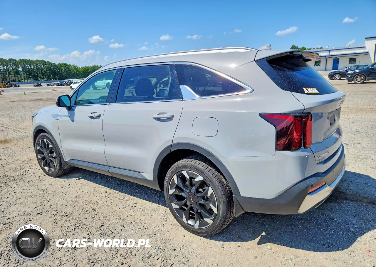 2024 Kia Sorento Ex VIN:5XYRH4JF9RG309094 - 2