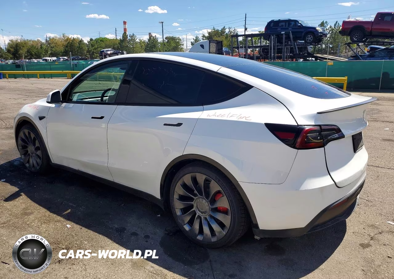 2025 Tesla Model Y VIN:7SAYGDEF9SF310402 - 2