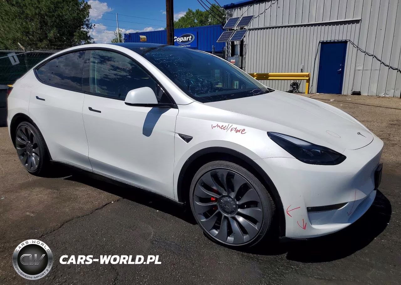 2025 Tesla Model Y VIN:7SAYGDEF9SF310402 - 4