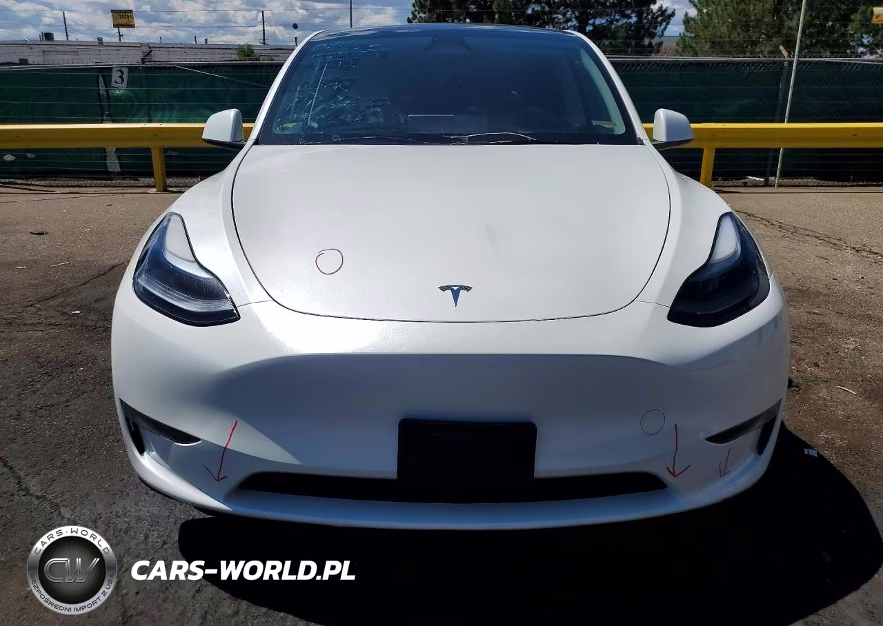 2025 Tesla Model Y VIN:7SAYGDEF9SF310402 - 5
