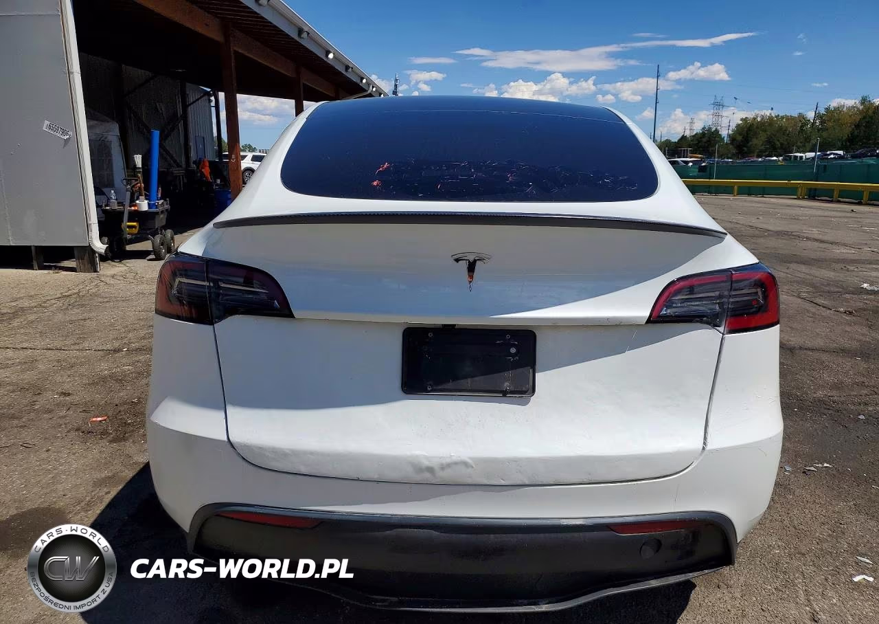 2025 Tesla Model Y VIN:7SAYGDEF9SF310402 - 6
