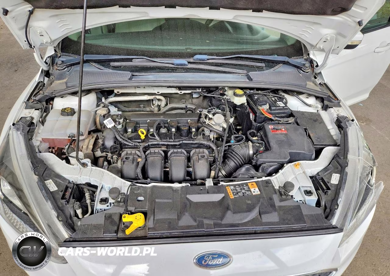 2017 Ford Focus Se VIN:1FADP3K20HL246544 - 11