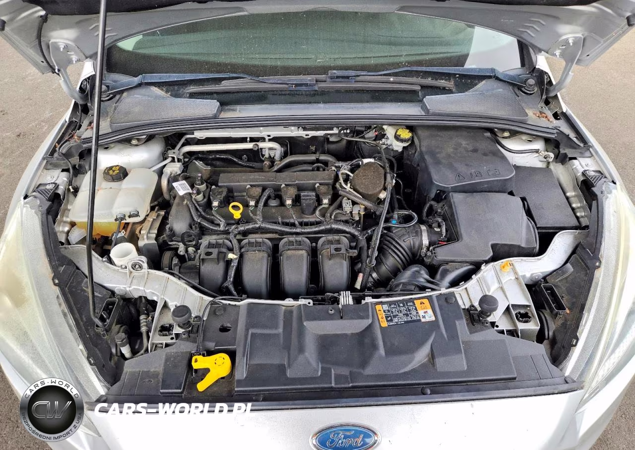 2015 Ford Focus Se VIN:1FADP3F23FL277018 - 11