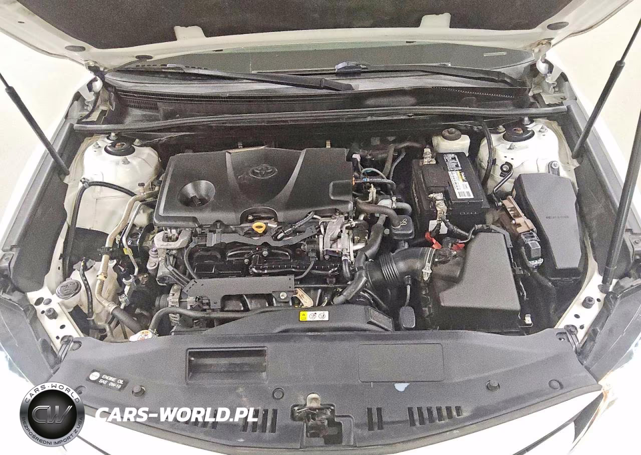 2020 Toyota Camry Le VIN:4T1C11AK2LU355437 - 11