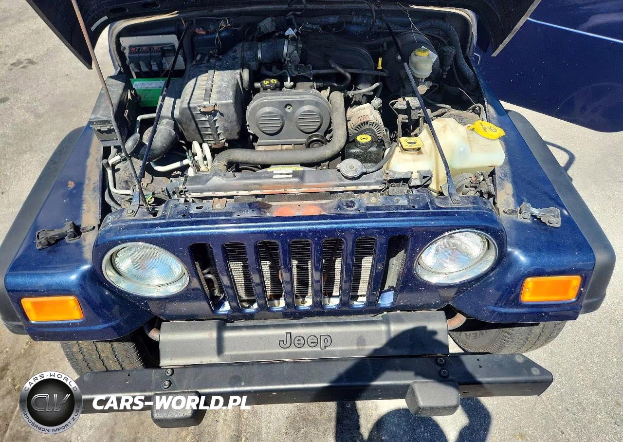2006 Jeep Wrangler - Tj Se VIN:1J4FA29126P767065 - 12