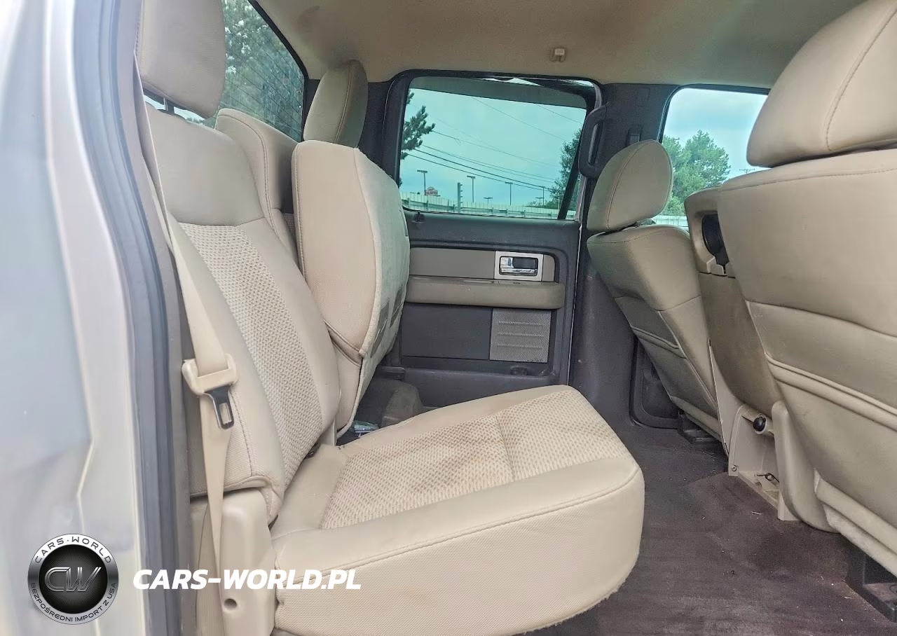 2010 Ford F150 Supercrew VIN:1FTEW1C85AFB09175 - 10