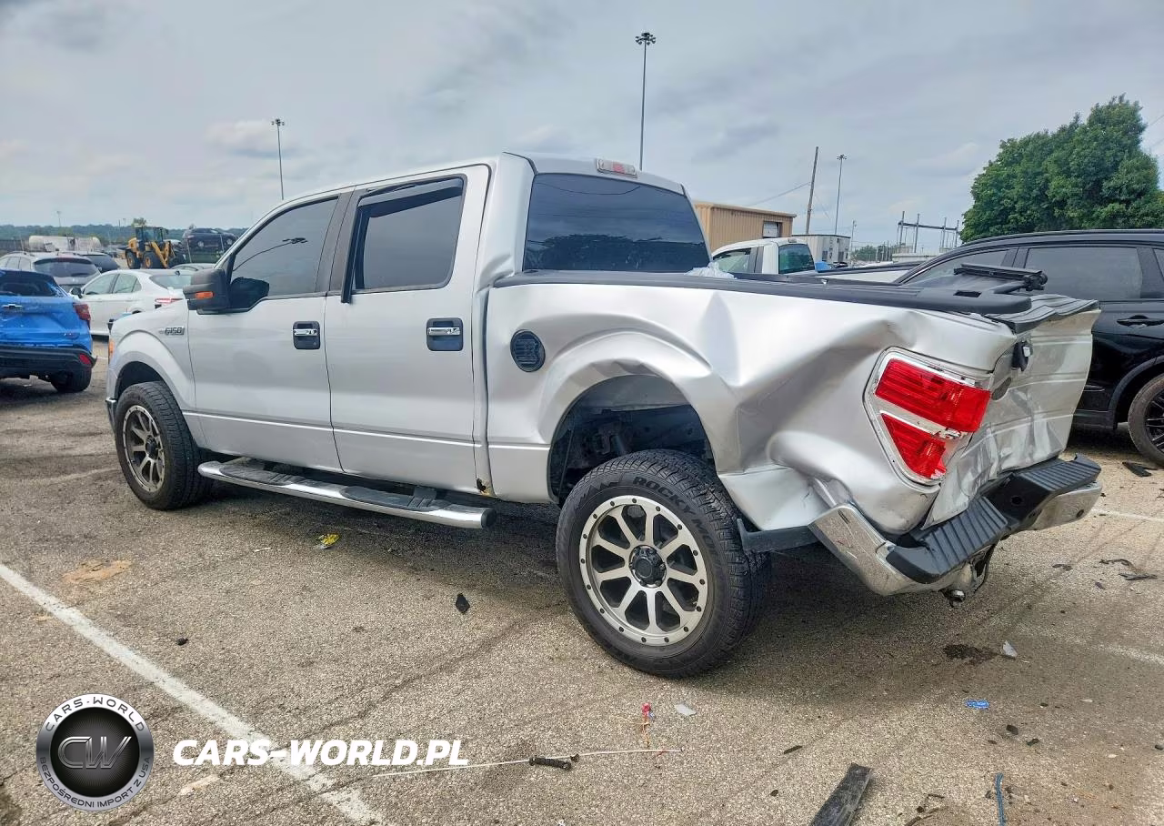 2010 Ford F150 Supercrew VIN:1FTEW1C85AFB09175 - 2
