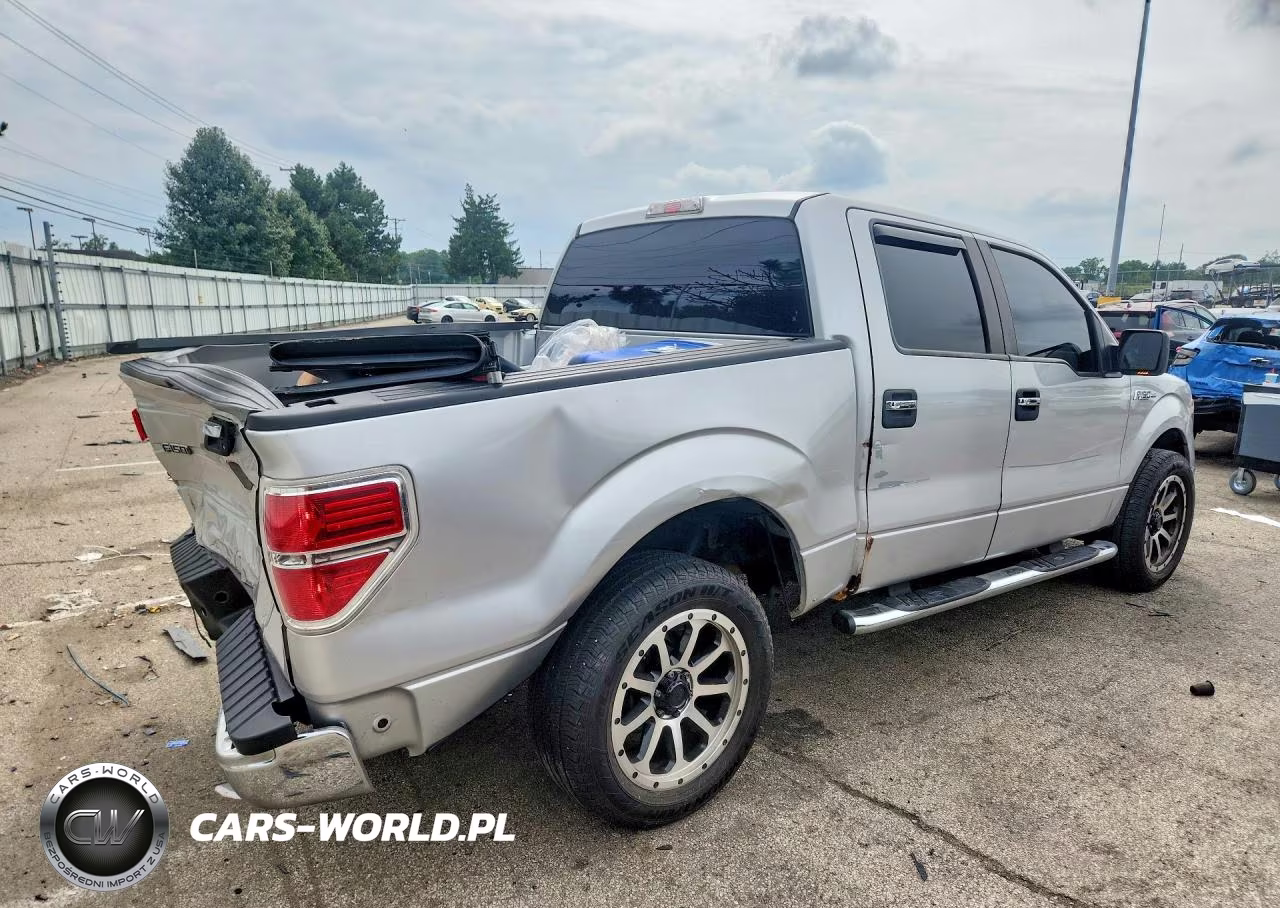 2010 Ford F150 Supercrew VIN:1FTEW1C85AFB09175 - 3