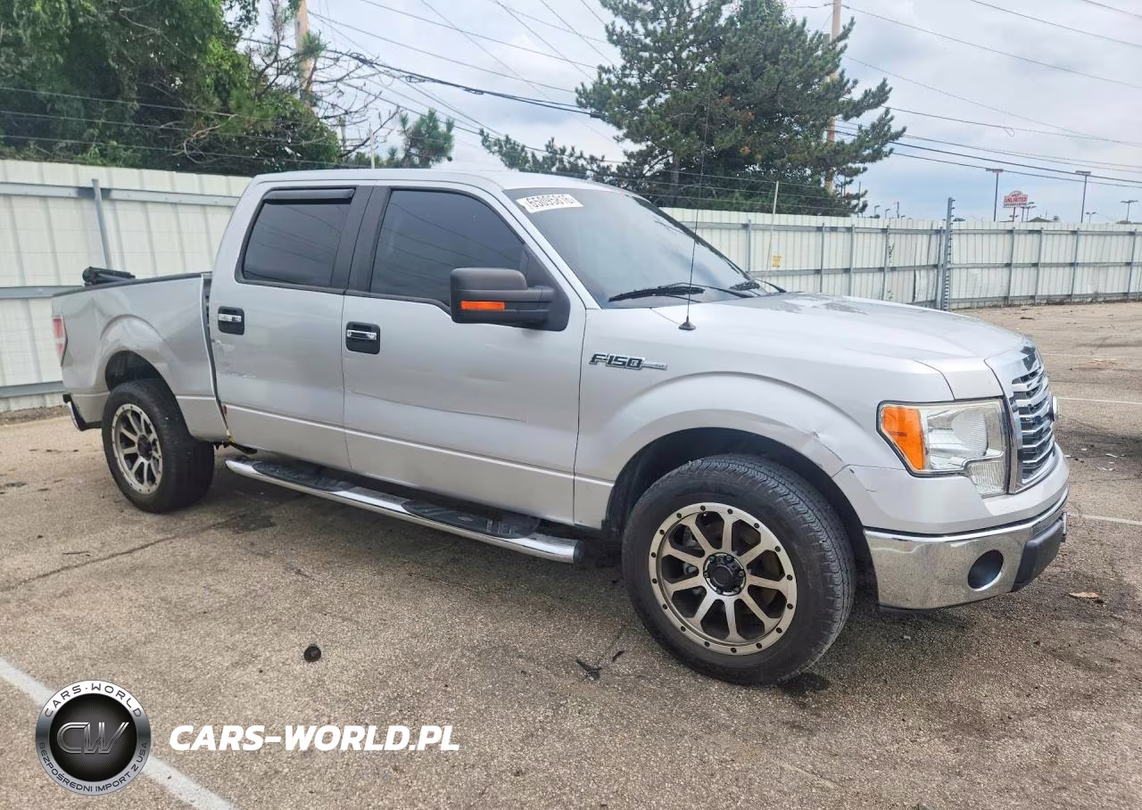 2010 Ford F150 Supercrew VIN:1FTEW1C85AFB09175 - 4