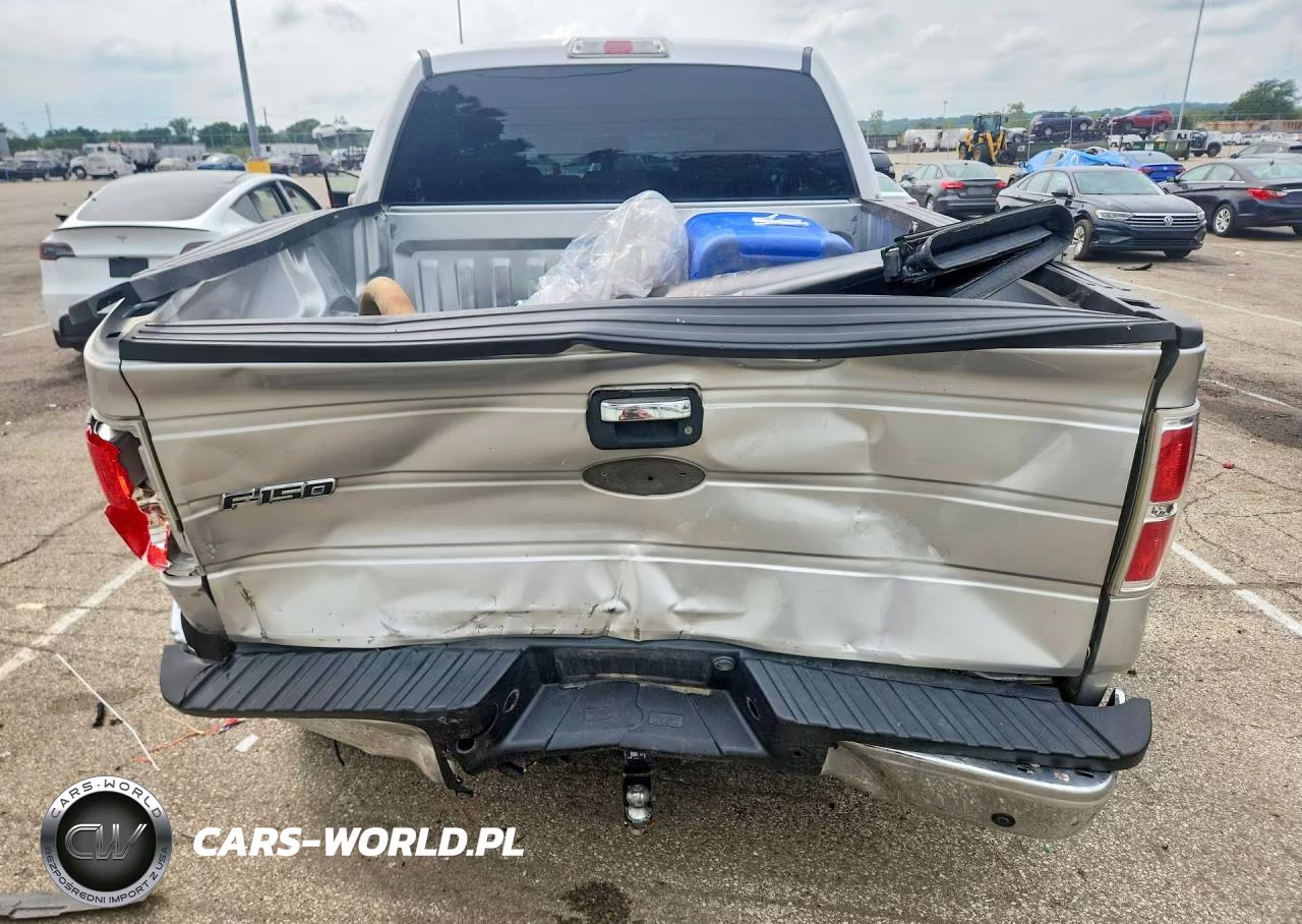 2010 Ford F150 Supercrew VIN:1FTEW1C85AFB09175 - 6