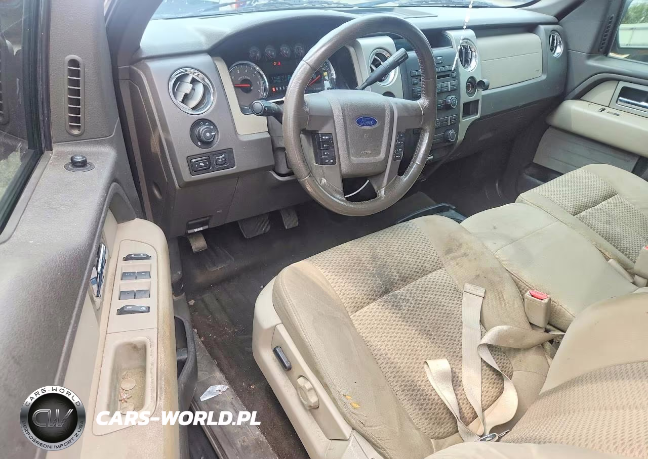 2010 Ford F150 Supercrew VIN:1FTEW1C85AFB09175 - 8