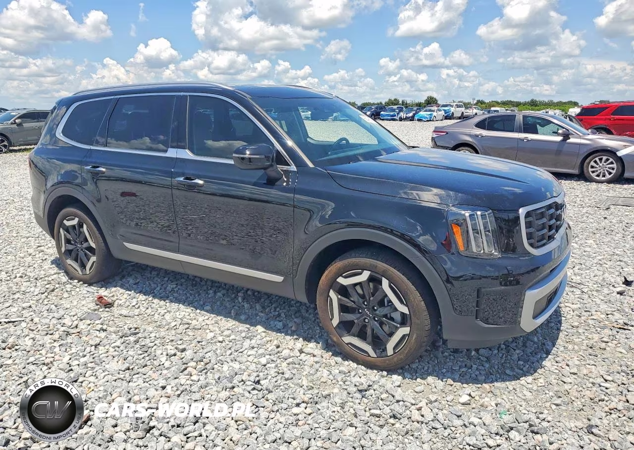 2025 Kia Telluride S VIN:5XYP64GC7SG643740 - 4