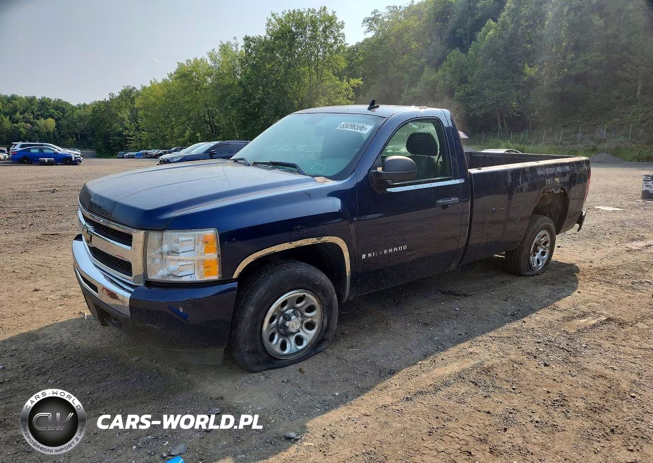 2009 Chevrolet Silverado C1500