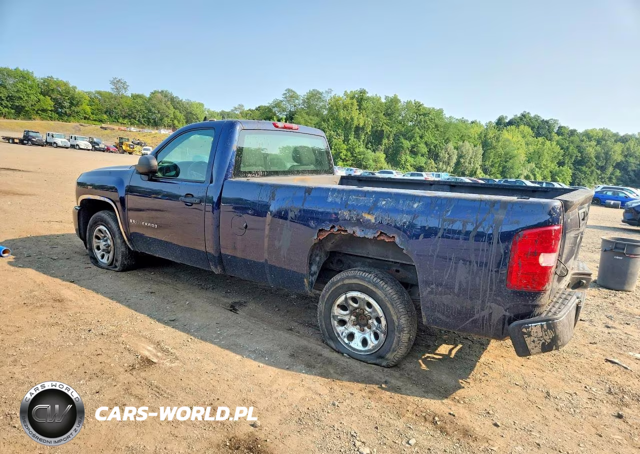 2009 Chevrolet Silverado C1500 VIN:1GCEC14X39Z137209 - 2