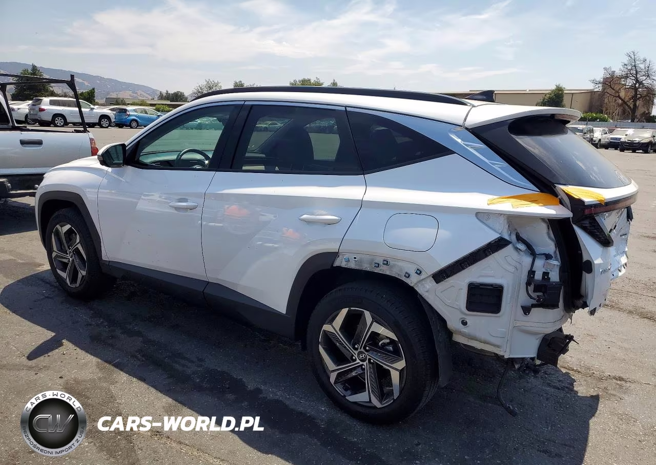 2022 Hyundai Tucson Limited VIN:5NMJECAE7NH160742 - 2