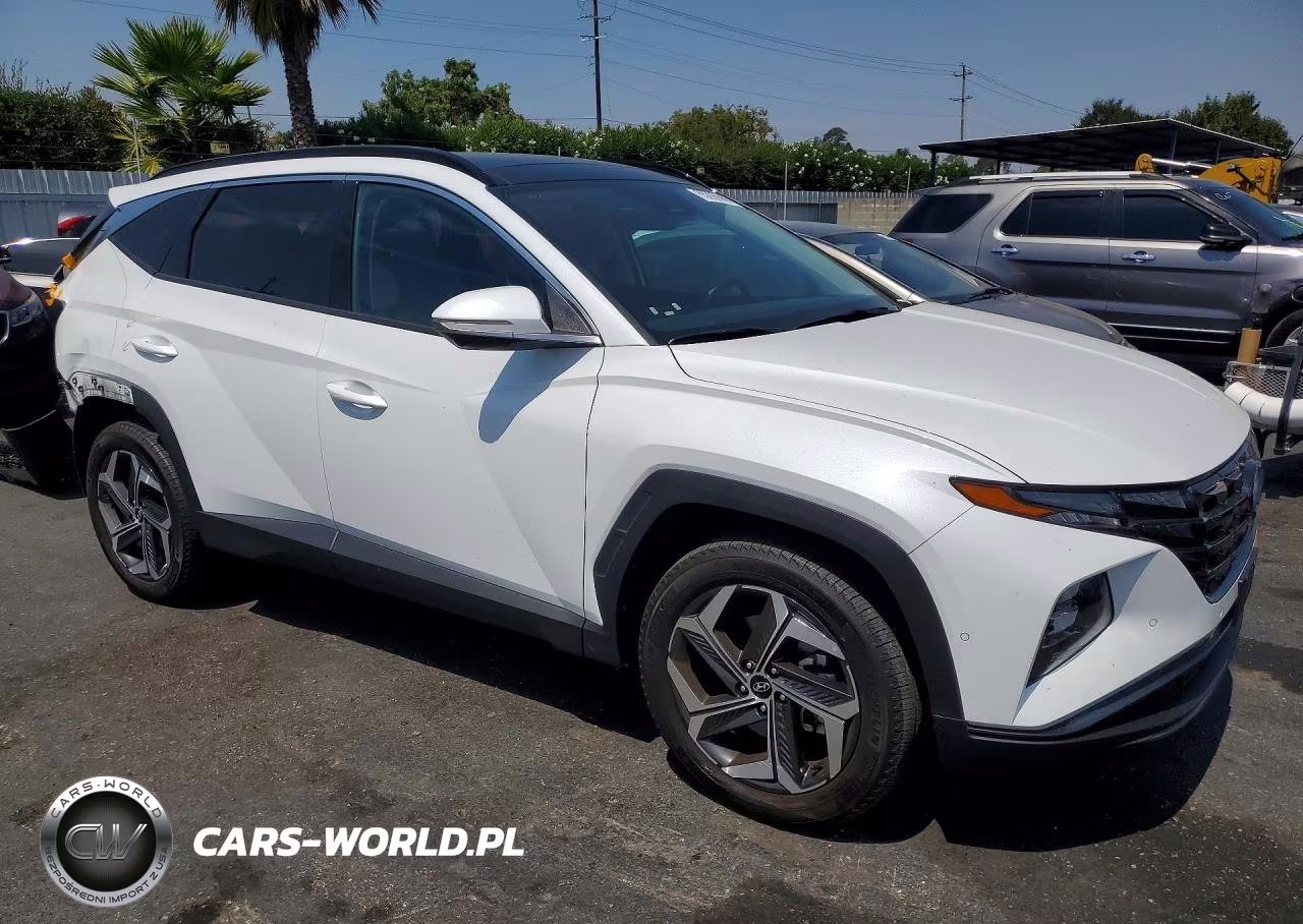 2022 Hyundai Tucson Limited VIN:5NMJECAE7NH160742 - 4