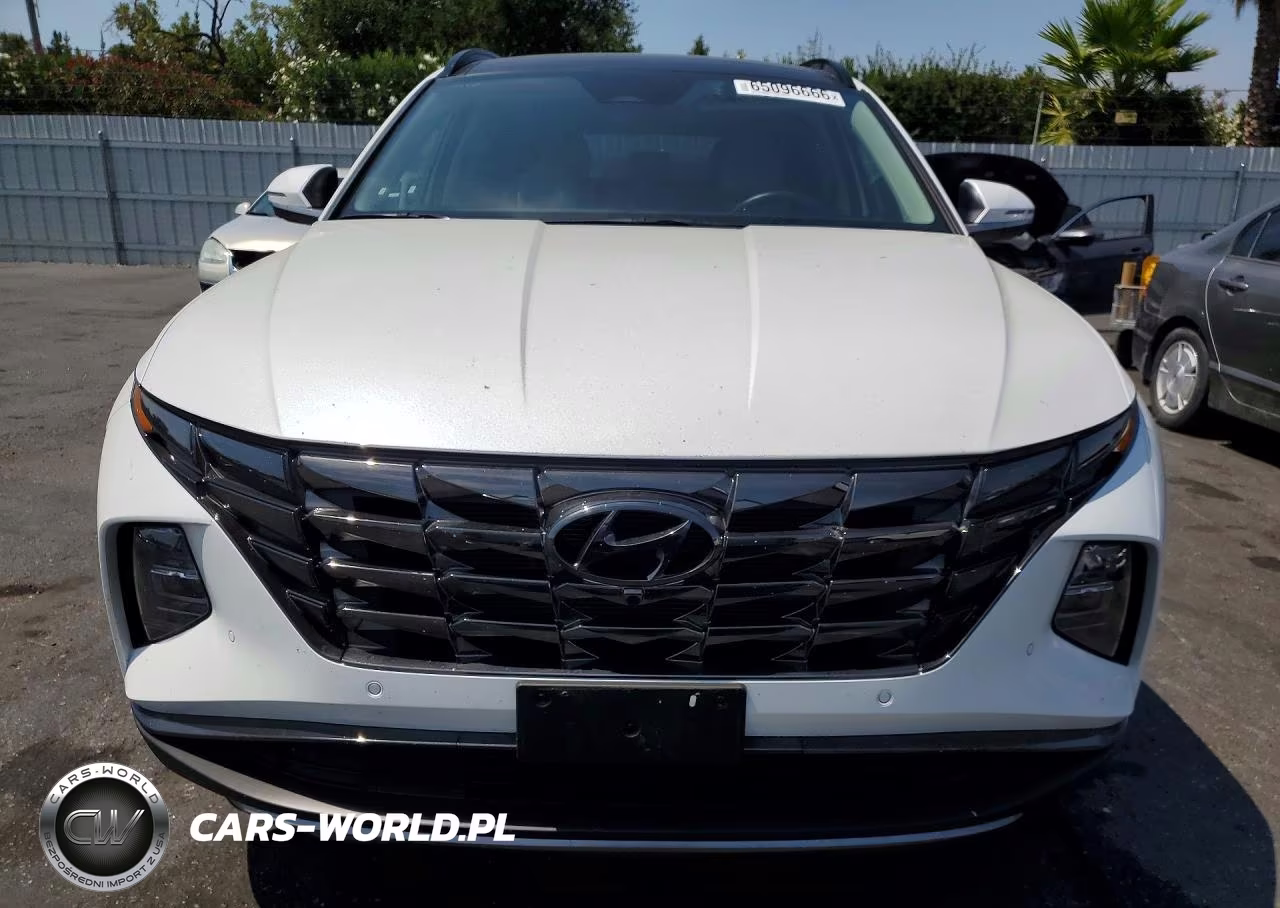 2022 Hyundai Tucson Limited VIN:5NMJECAE7NH160742 - 5