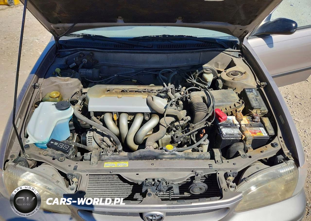1998 Toyota Corolla Ve VIN:1NXBR12E7WZ094288 - 11