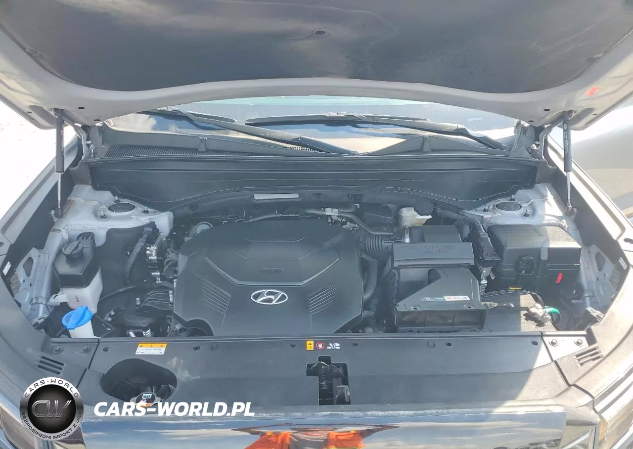 2024 Hyundai Palisade Sel Premium VIN:KM8R44GE7RU674944 - 12