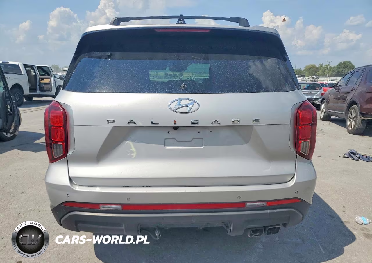 2024 Hyundai Palisade Sel Premium VIN:KM8R44GE7RU674944 - 6