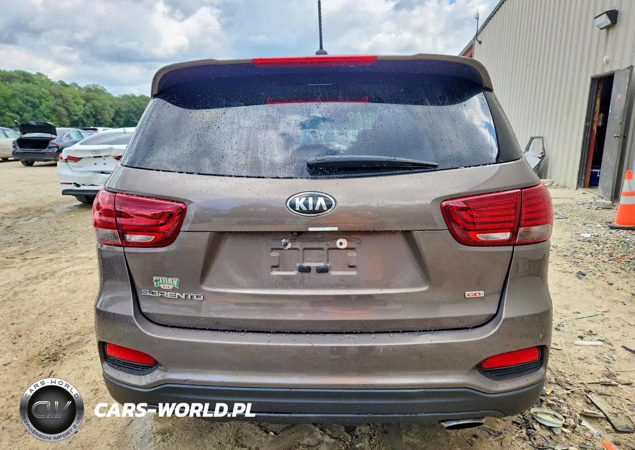 2019 Kia Sorento Lx VIN:5XYPG4A36KG563559 - 6