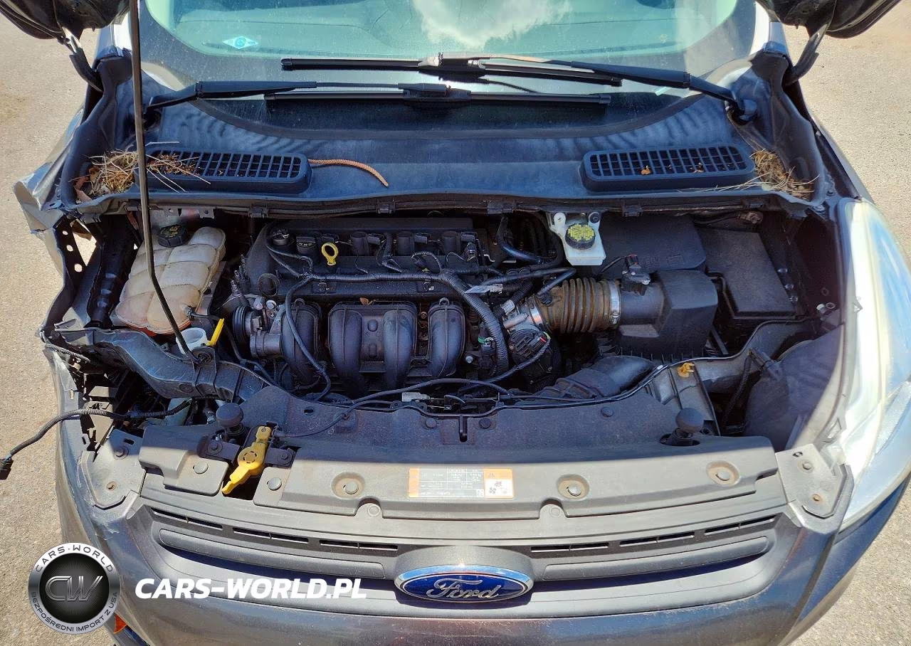 2016 Ford Escape S VIN:1FMCU0F73GUA12244 - 12