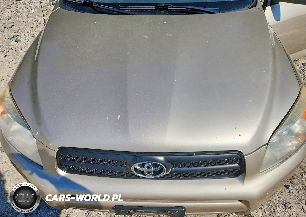2008 Toyota Rav4 Base VIN:JTMZD33V285094451 - 12