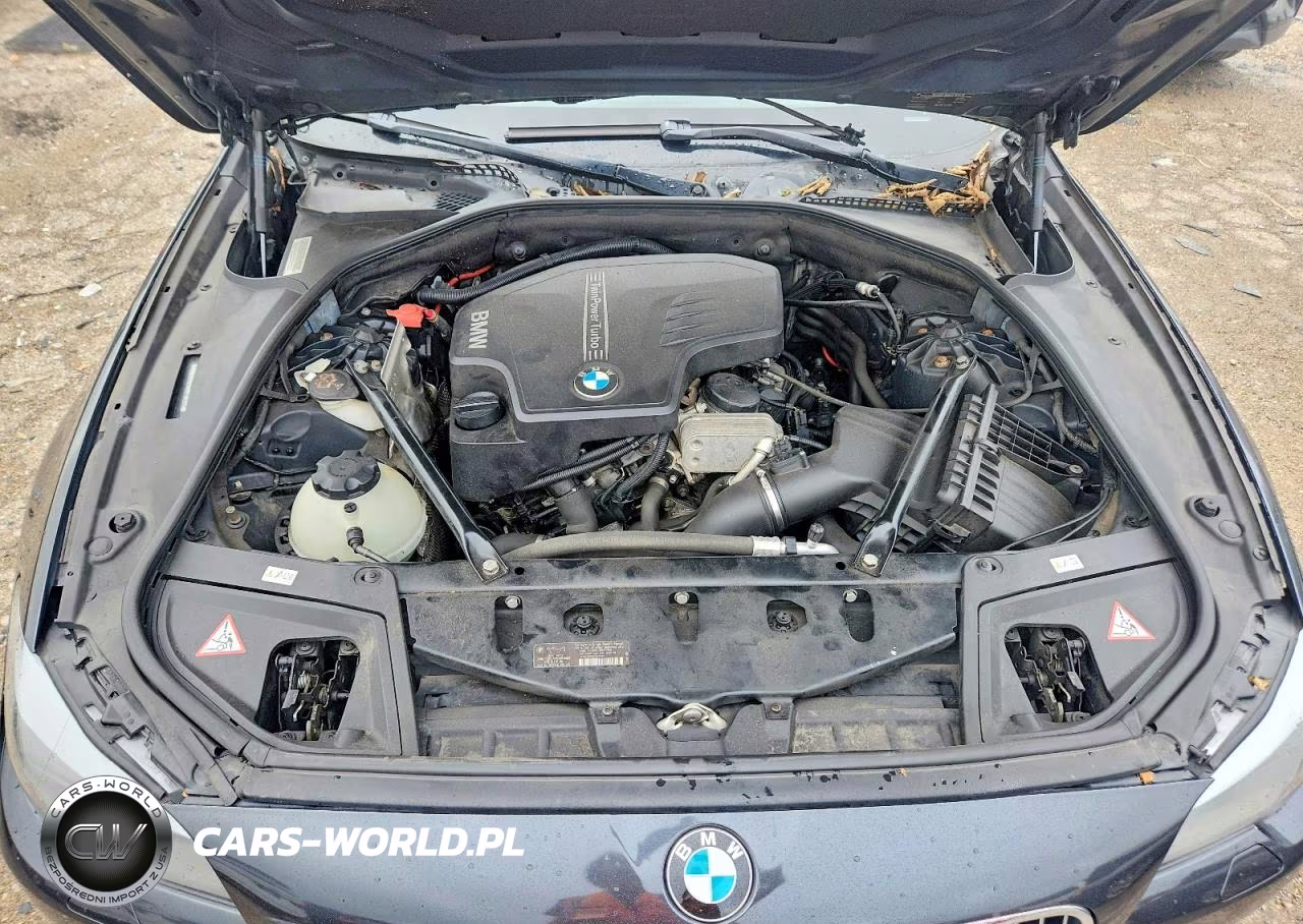 2013 BMW 528 Xi VIN:WBAXH5C50DD110294 - 11