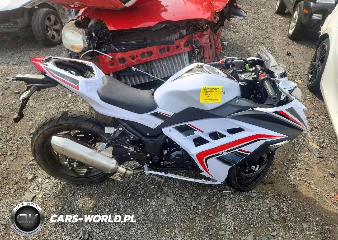 2025 Baod Bd2505 – zdjęcie 1 z 9