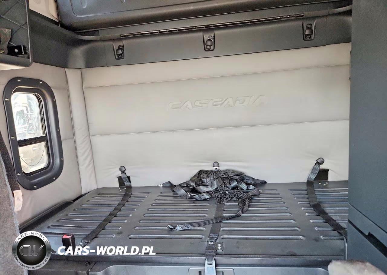 2020 Freightliner Cascadia 126 Semi Truck VIN:3AKJHHDR1LSLT8849 - 10