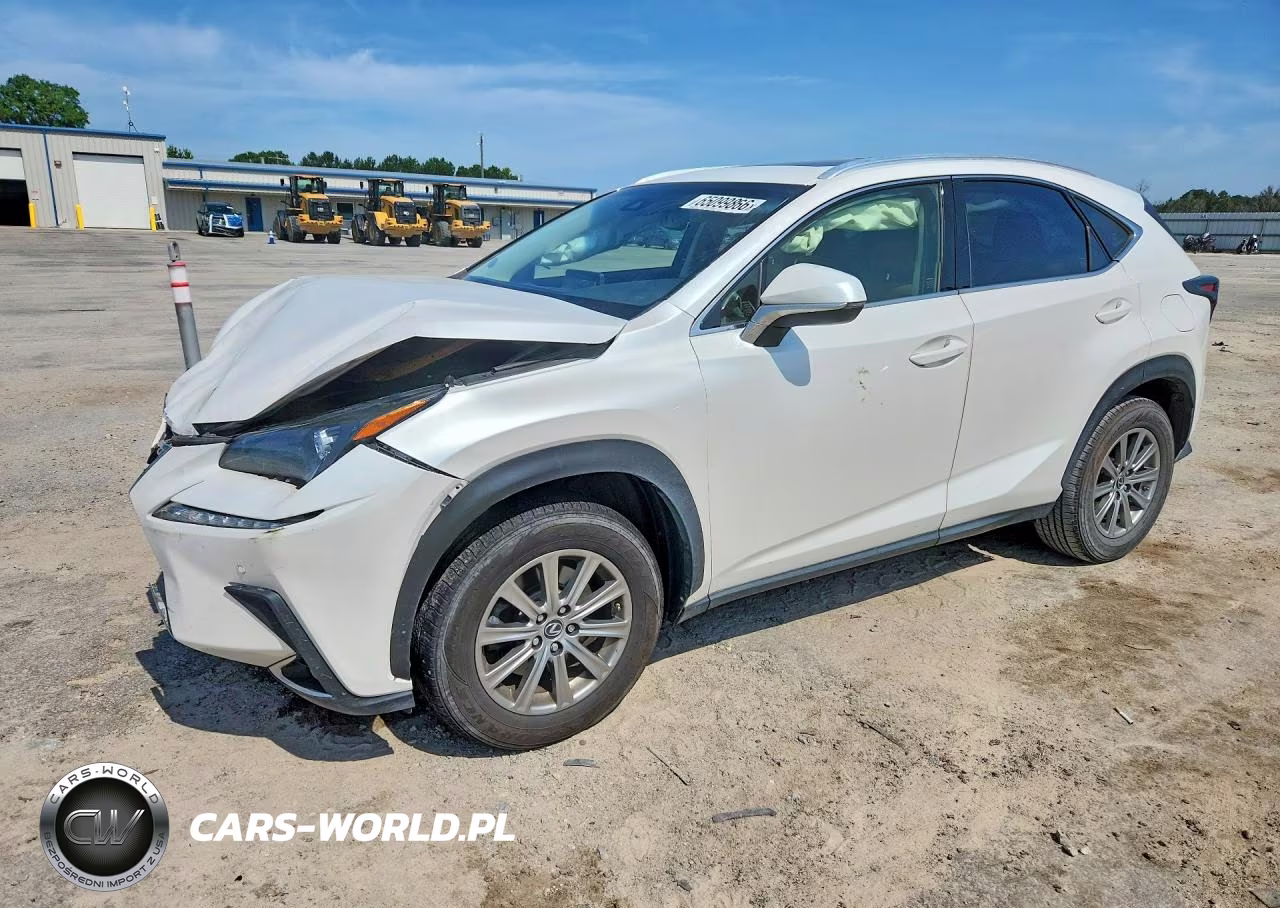 2018 Lexus Nx 300 Base VIN:JTJYARBZ2J2111331 - 1