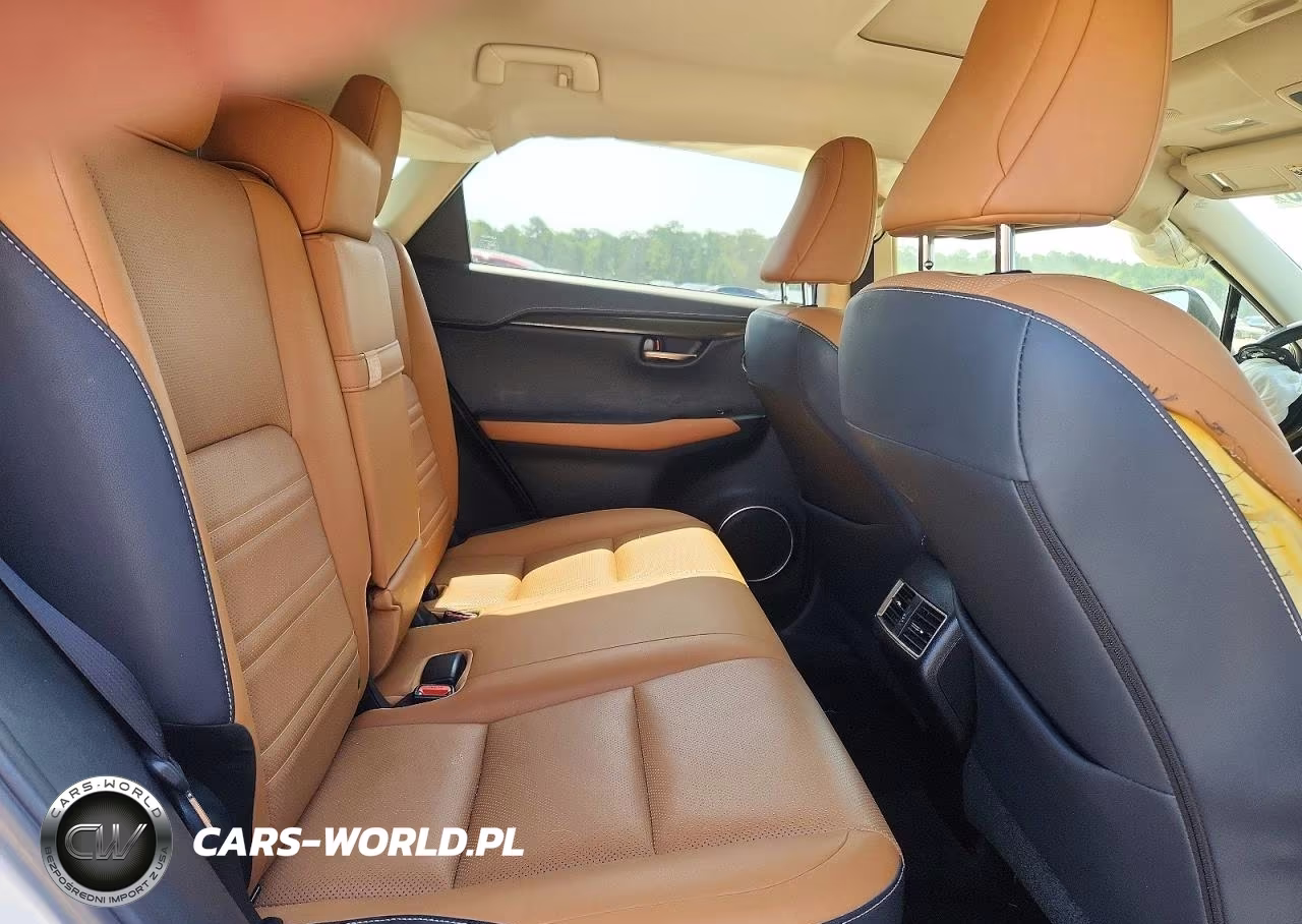 2018 Lexus Nx 300 Base VIN:JTJYARBZ2J2111331 - 10