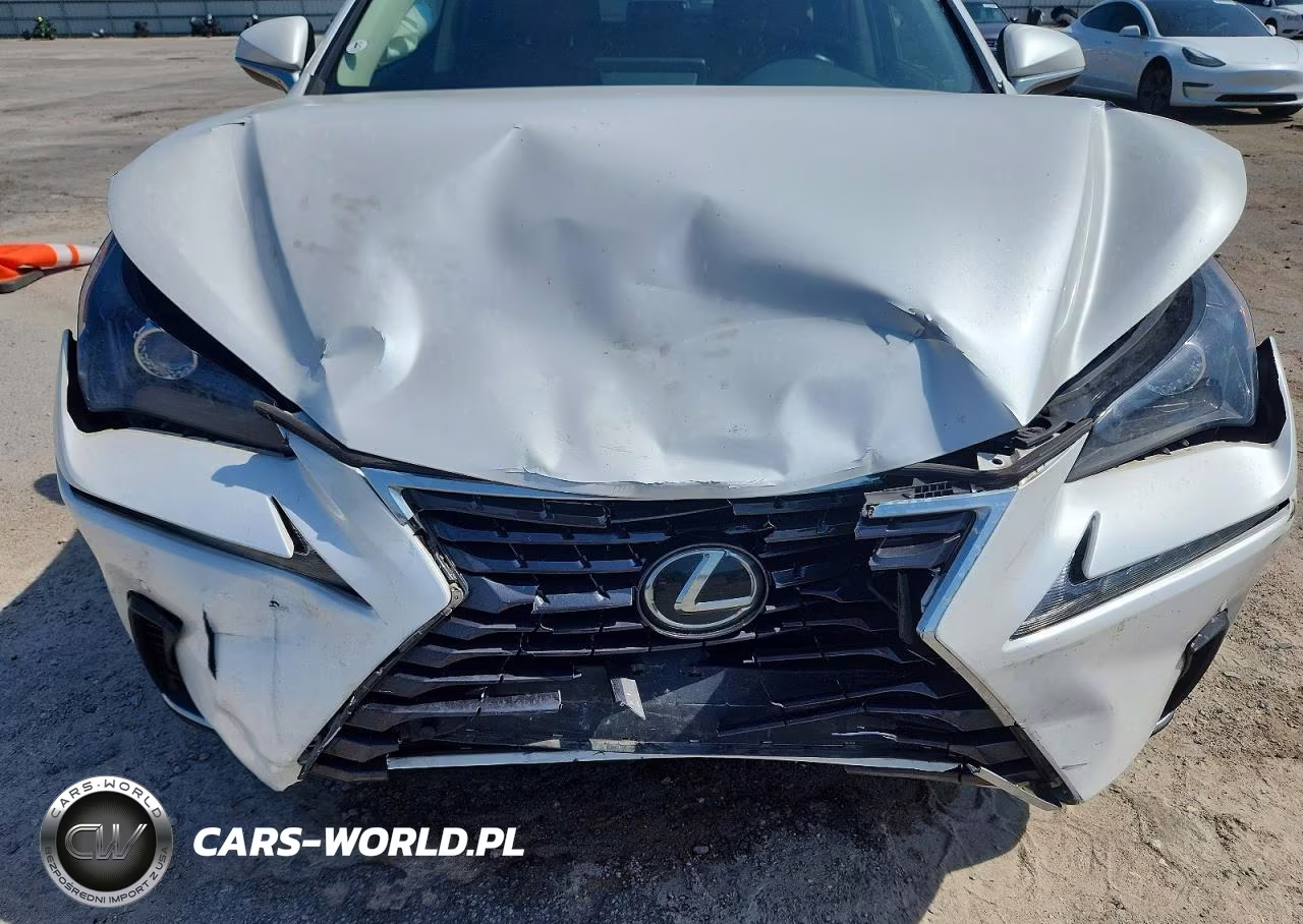 2018 Lexus Nx 300 Base VIN:JTJYARBZ2J2111331 - 11