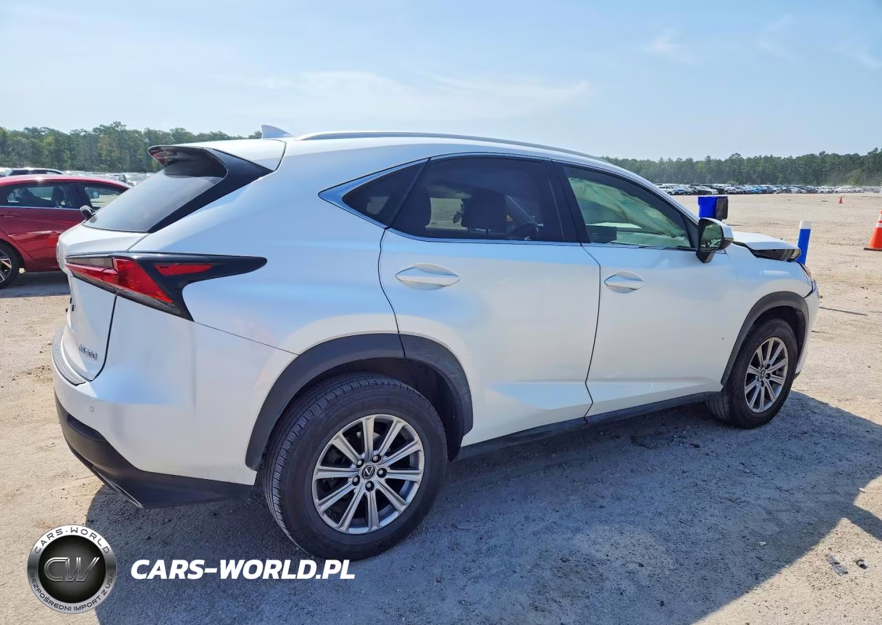 2018 Lexus Nx 300 Base VIN:JTJYARBZ2J2111331 - 3