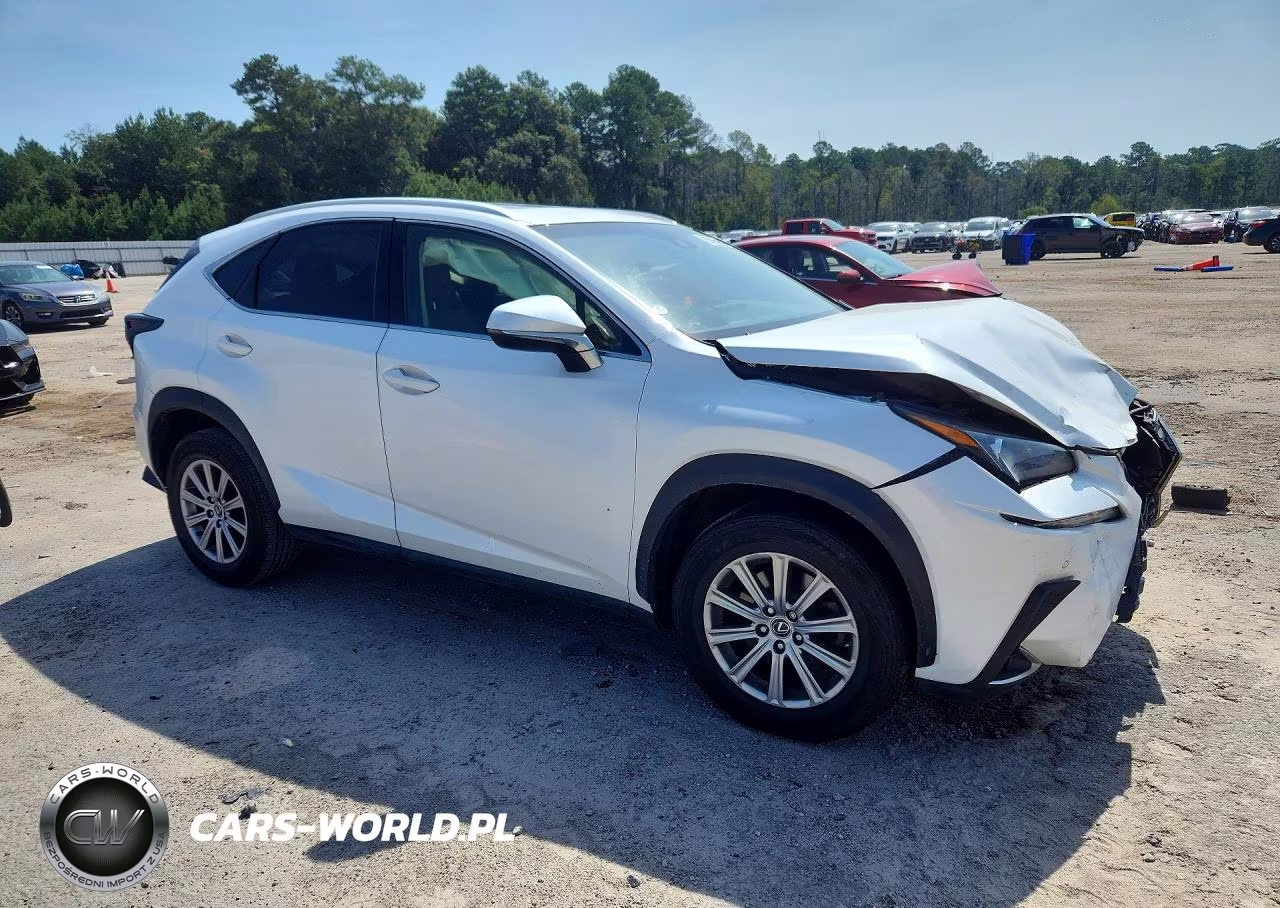 2018 Lexus Nx 300 Base VIN:JTJYARBZ2J2111331 - 4