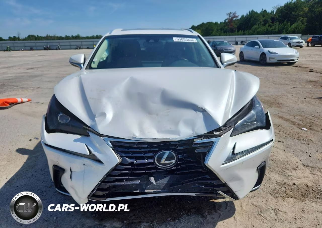 2018 Lexus Nx 300 Base VIN:JTJYARBZ2J2111331 - 5