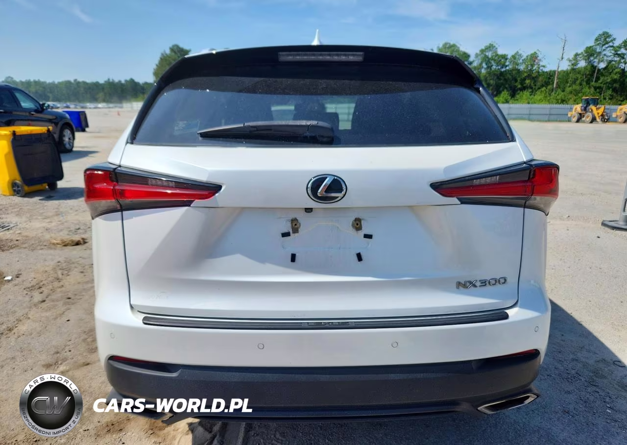 2018 Lexus Nx 300 Base VIN:JTJYARBZ2J2111331 - 6
