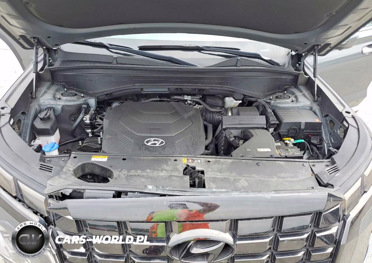 2024 Hyundai Palisade Sel Premium VIN:KM8R4DGE0RU758538 - 12