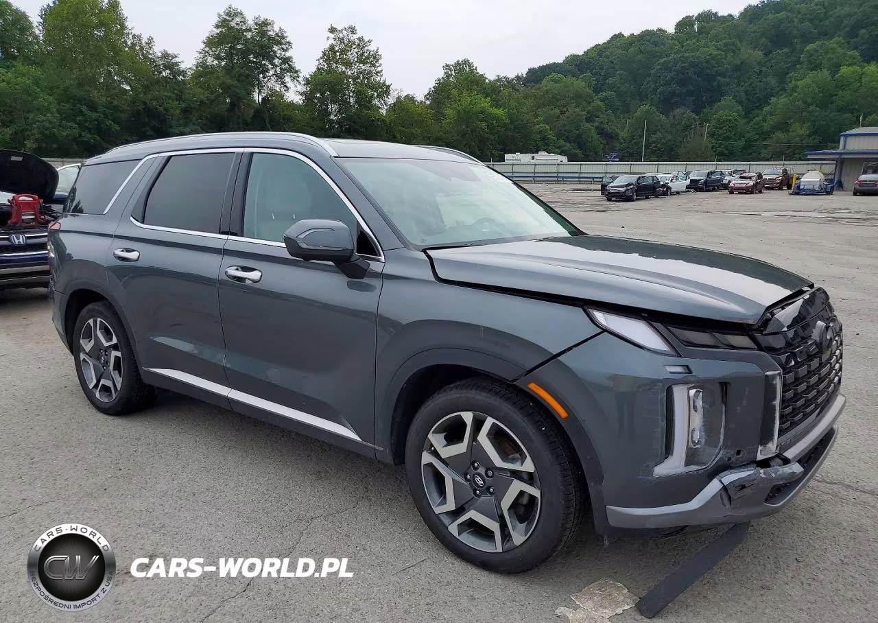 2024 Hyundai Palisade Sel Premium VIN:KM8R4DGE0RU758538 - 4