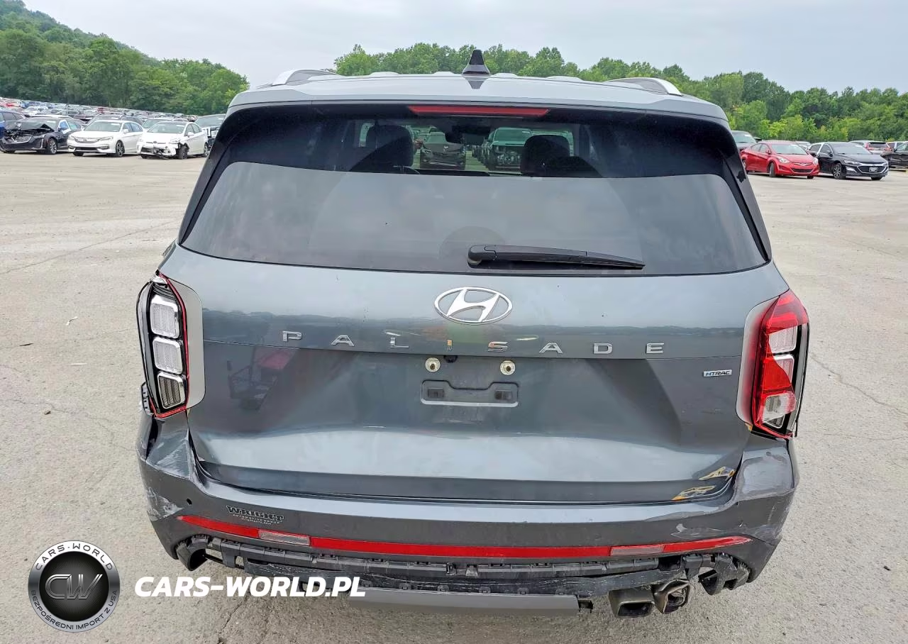 2024 Hyundai Palisade Sel Premium VIN:KM8R4DGE0RU758538 - 6