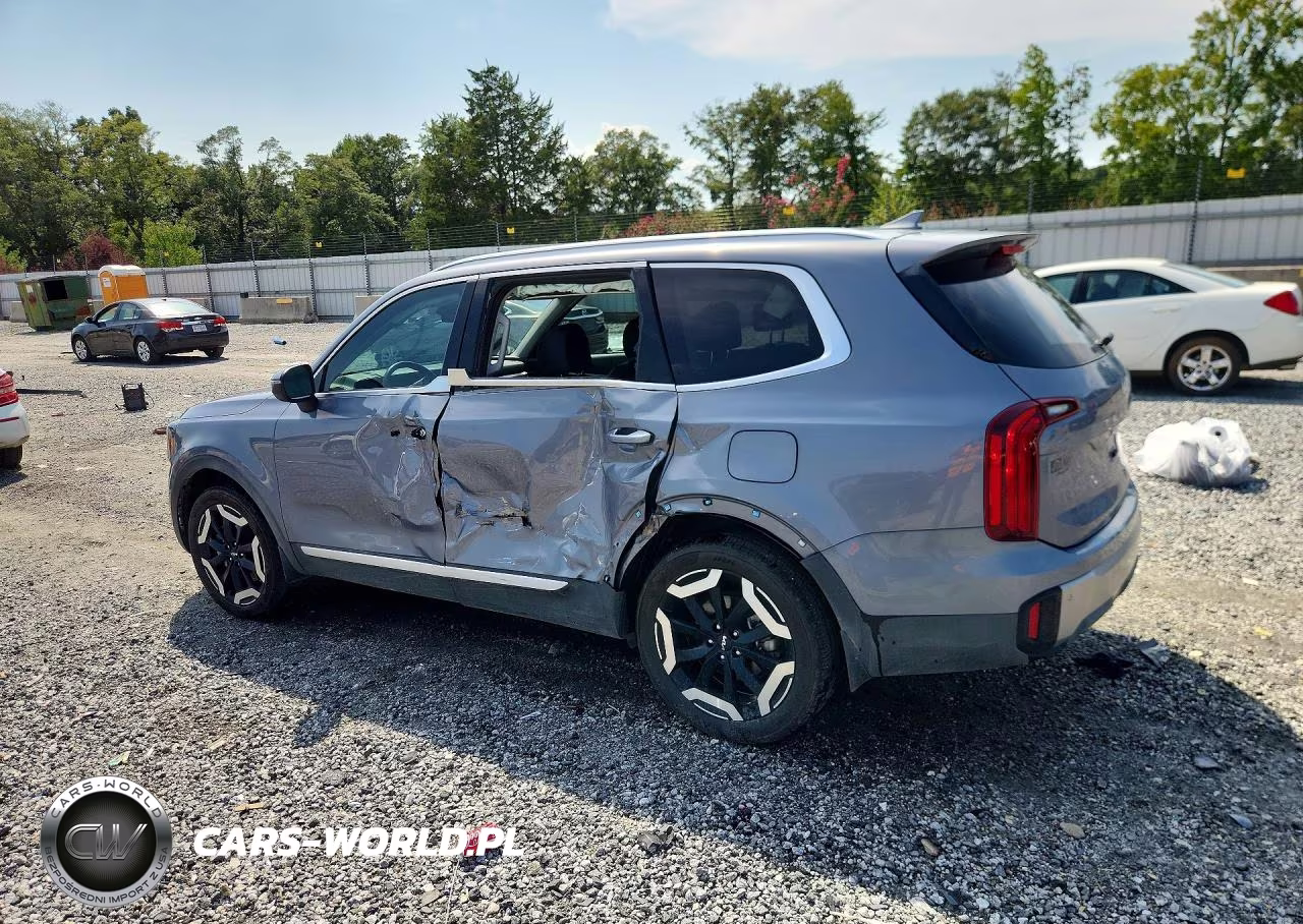 2025 Kia Telluride S VIN:5XYP64GCXSG675419 - 2